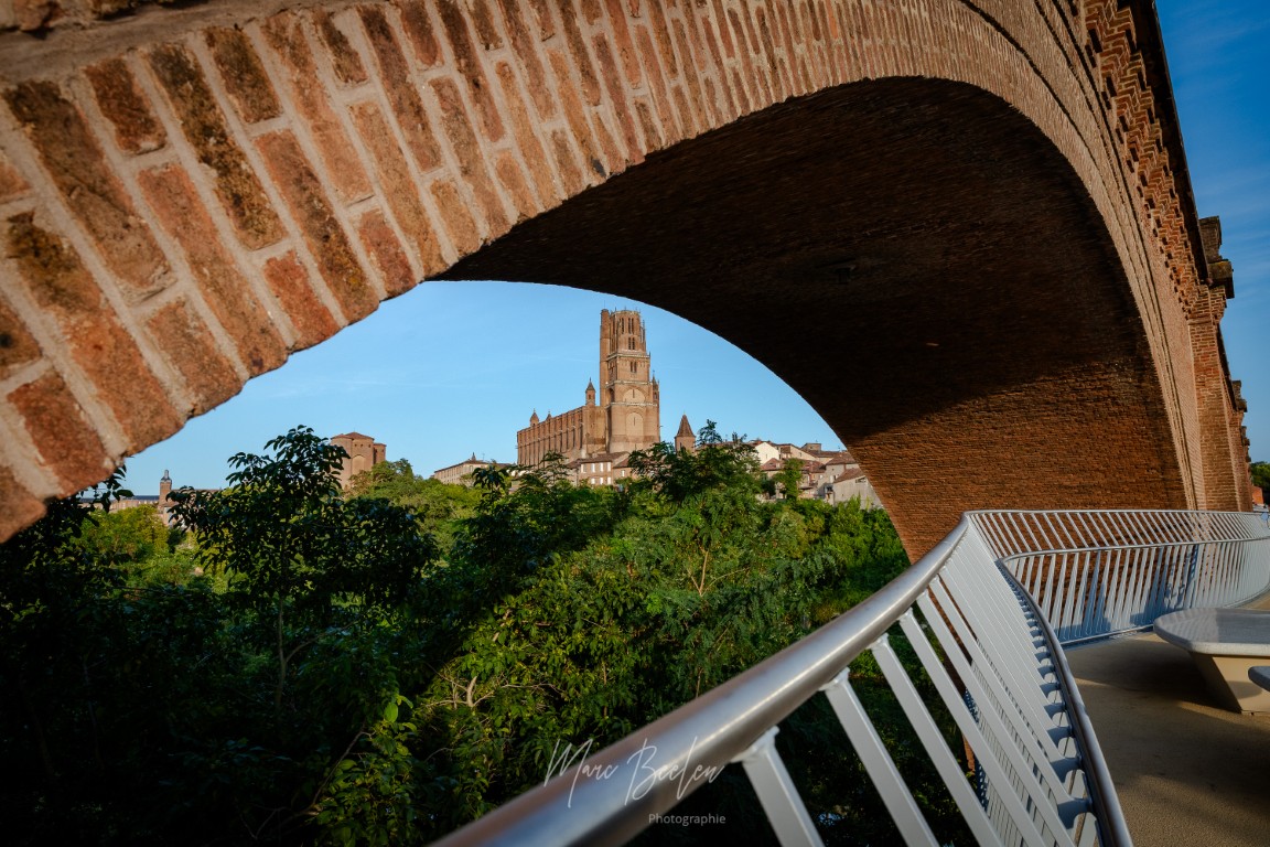 Albi
